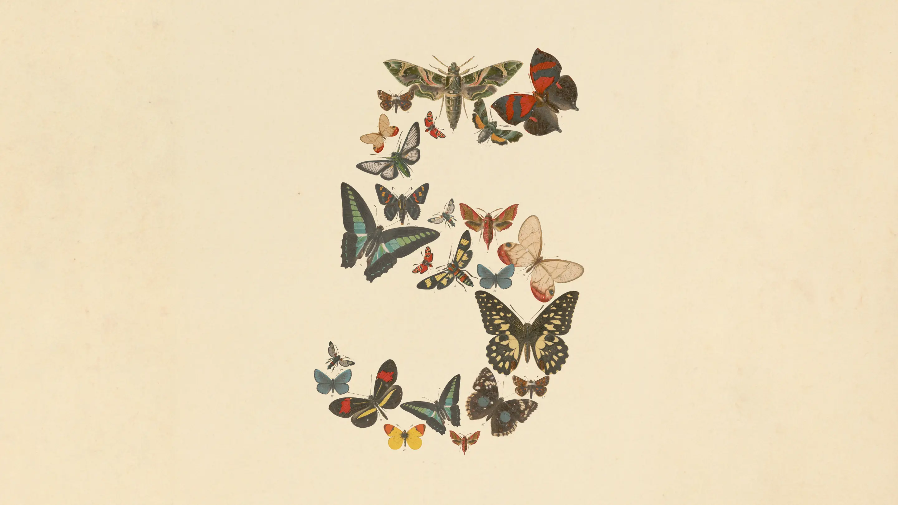 fable 5 logo